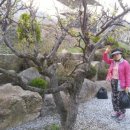 영주순흥민박 이미지