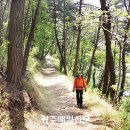 호성계곡 이미지