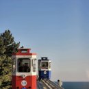 바다로일이오 | 추운 건 싫지만 겨울은 좋아❄️