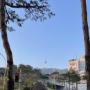 나인트리프리미어호텔 명동2 이미지