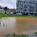 신송2리 이미지