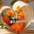 춘풍 - 285457 | 춘풍