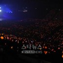 신화F/B 이미지