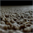 구로-현장-구로-448 | 누수탐지 업체 선정 이것만은 꼭 확인하세요