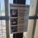 권가제면소 오송점 이미지