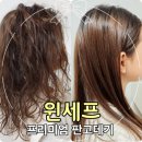윈세프고데기프리미엄 판고데기 곱슬머리 솔직 사용 후기