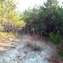 임실공영주차장 이미지