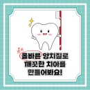 이플란트치과 이미지
