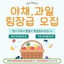 오늘은과일 - 서구 문정로112번안길 18 | 오늘은과일