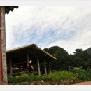 영화마을 이미지