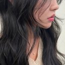 센츄리미용실 - 남구 수영로 312 | 센츄리미용실