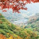 정*규 Daum카페