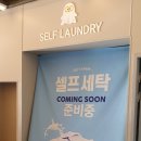 이마트24 염포상떼빌점 이미지