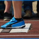 월드복싱 이미지