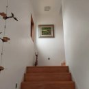 선흘초등학교 이미지