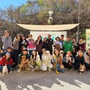 산삼자연휴양림(함양) 이미지