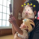 개비리길 펜션 이미지