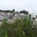 원북면사무소 이미지