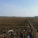 두정역서1길 이미지