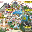 마리오스튜디오