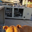 남양만로 노트펫