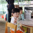 클로버농장 | 장성 아이랑가볼만한 곳 하비스트랜드 내돈내산 농장체험 후기