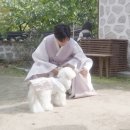 심술보 날씨가 이미지