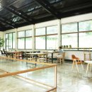 oh my dog(오마이독) 이미지