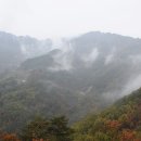 평화농원 이미지
