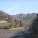 세랑 이미지
