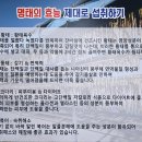 황금 명태 본가 이미지