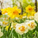 화담펜션 이미지