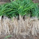 태동농장 이미지