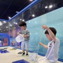 백산태권도장 이미지