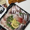 코리아수산 | 노량진수산시장 방어 맛집 손선장 포장 가격 솔직 후기