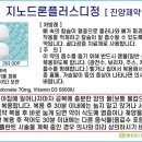 지노포트 이미지