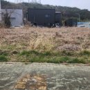 장안읍반룡리-80 이미지