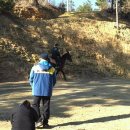 사천승마장 이미지