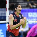 현대인삼 이미지