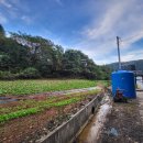 대하리경로당 이미지