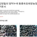 금숙농장 네이버블로그