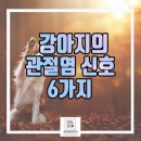 돌봄동물병원(나