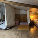 도시고양이생존연구소 이미지