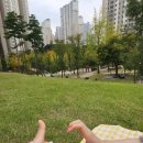 피크닉 이미지