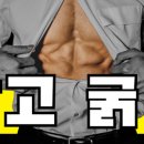 네임드짐 휘트니스 이미지