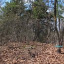 논골목장 이미지