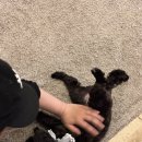 효소테라피 | 이색 데이트 추천! 온몸이 개운해지는 효소 엔자임 테라피 내돈내산 후기