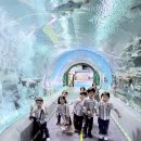🐋슬기반 아쿠아리움&amp;미스터피자🐋 이미지