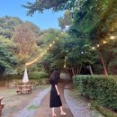 가로수길 천사약국 | [30살 기록] 23년 7월 기록, 가천대결혼식/남양주카페/팔숲/프로쉬/시라쿠스접시/양가부모님/미사신발...