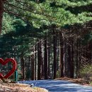 양평부안초 이미지